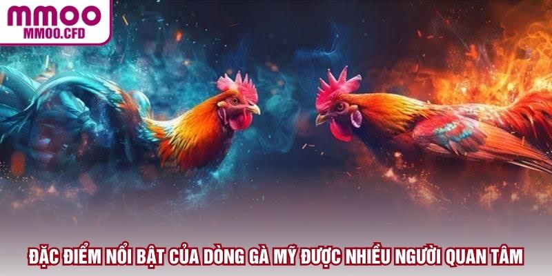 Đặc điểm nổi bật của dòng gà Mỹ được nhiều người quan tâm
