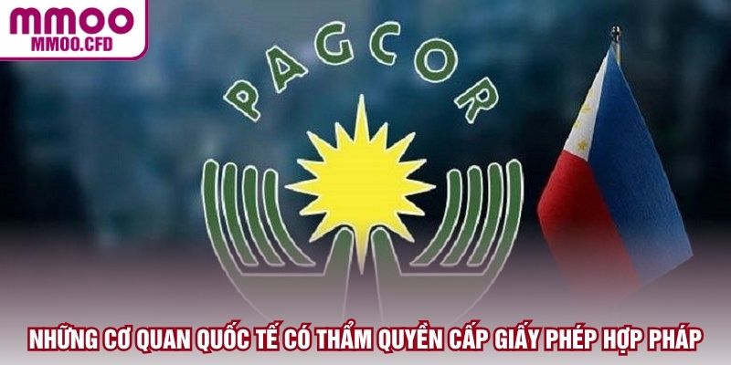 Những cơ quan quốc tế có thẩm quyền cấp giấy phép hợp pháp