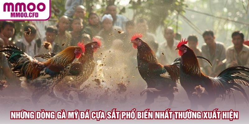 Những dòng gà Mỹ đá cựa sắt phổ biến nhất thường xuất hiện