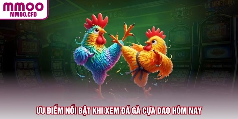 Ưu điểm nổi bật khi xem đá gà cựa dao hôm nay