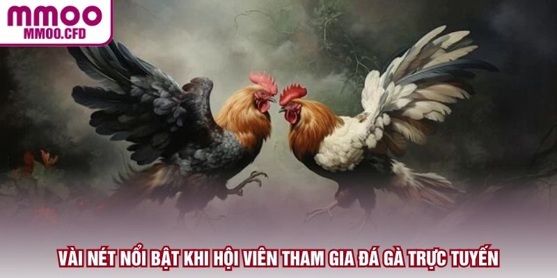 Vài nét nổi bật khi hội viên tham gia đá gà trực tuyến